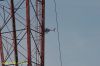 DSC_2082.JPG