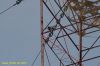 DSC_2087.JPG