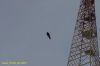 DSC_2146.JPG