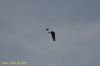 DSC_2150.JPG