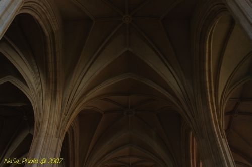 DSC_2811.jpg