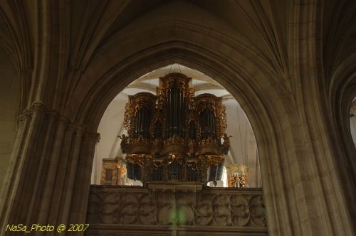 DSC_2817.jpg