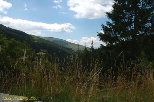 DSC_2856.jpg