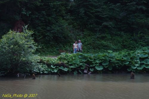 DSC_2865.jpg