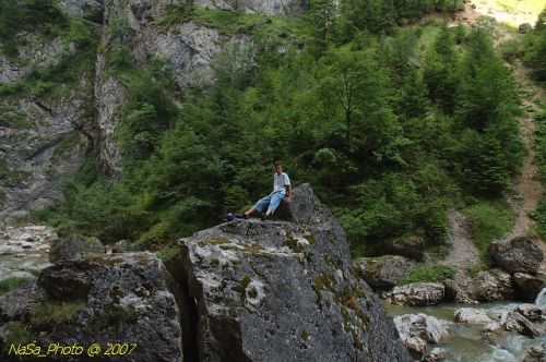DSC_2913.jpg