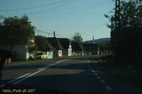 DSC_2956.jpg
