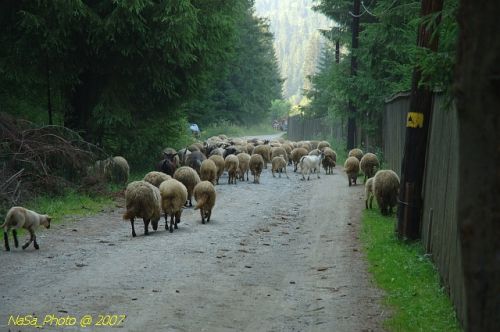 DSC_3056.jpg