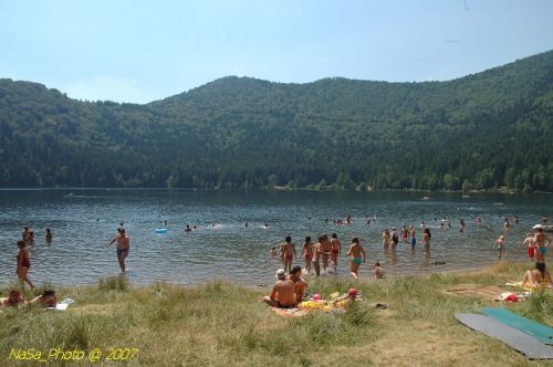 DSC_3081.jpg