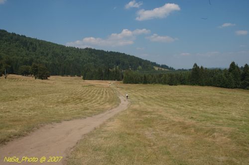 Tőzeg láp
