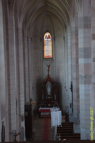 DSC_3128.jpg