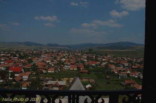 DSC_3137.jpg