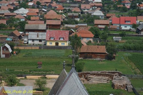 DSC_3138.jpg