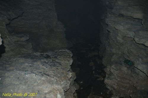 DSC_3164.jpg