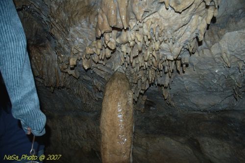 DSC_3193.jpg