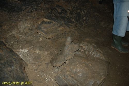 DSC_3194.jpg