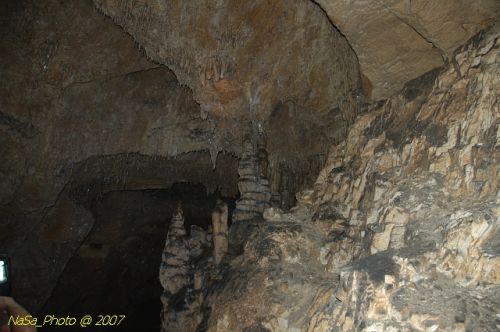 DSC_3199.jpg