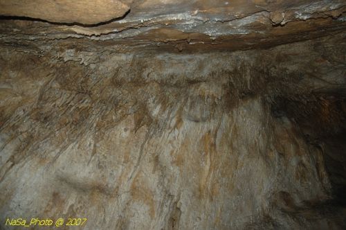 DSC_3205.jpg