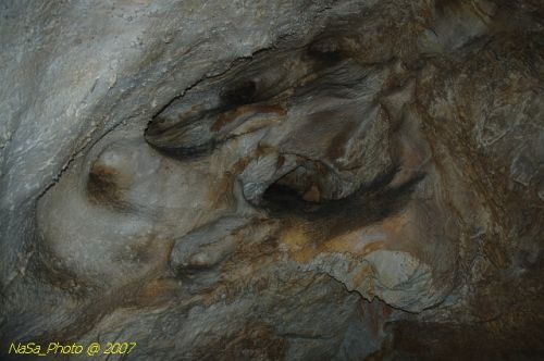DSC_3208.jpg