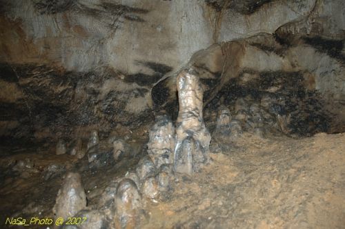 DSC_3215.jpg