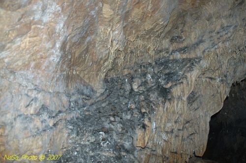 DSC_3221.jpg