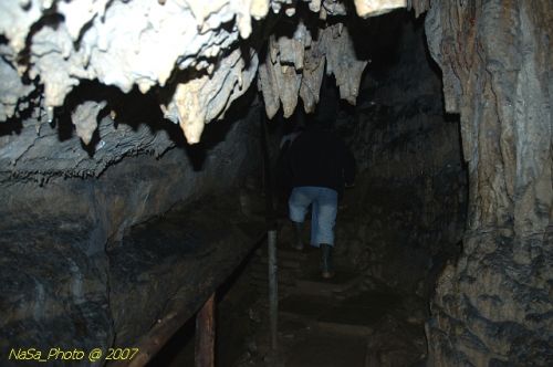 DSC_3223.jpg