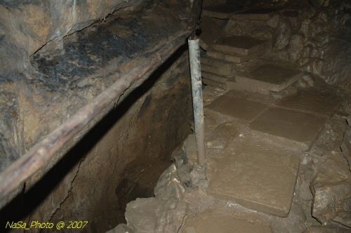 DSC_3224.jpg