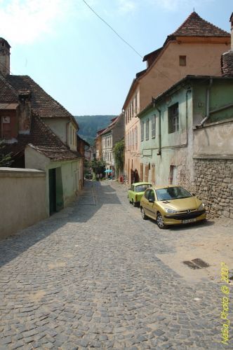 DSC_3276.jpg