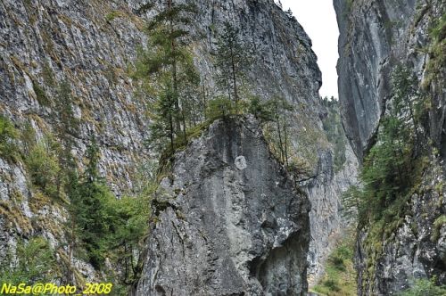 DSC_7072b.jpg
