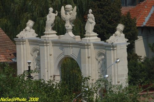 DSC_6729.jpg
