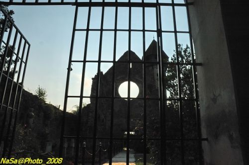 DSC_6861b.jpg