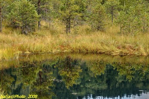 DSC_7038b.jpg