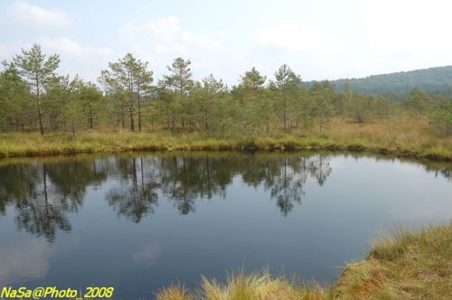DSC_7043.jpg