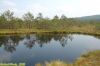 DSC_7044.jpg