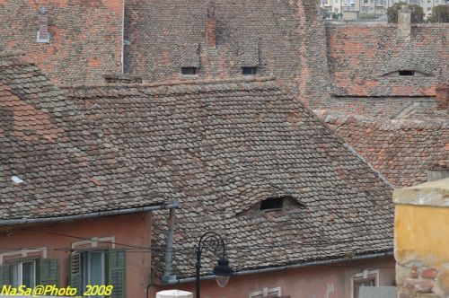 DSC_6847.jpg