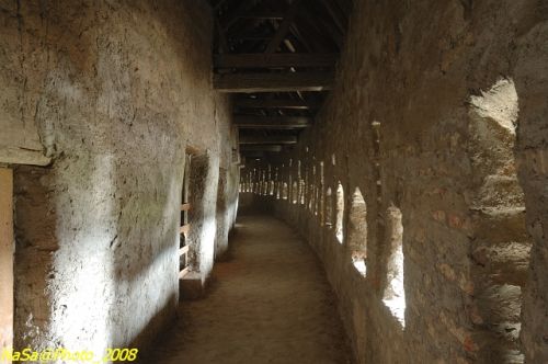 DSC_7031.jpg