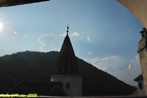 DSC_6988b.jpg