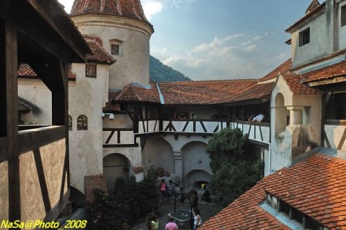 DSC_6997b.jpg