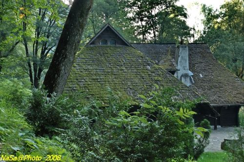 DSC_7010b.jpg