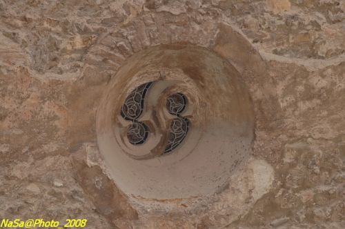 DSC_6764.jpg