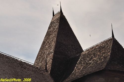 DSC_6765b.jpg