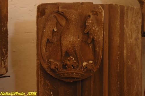 DSC_6778.jpg