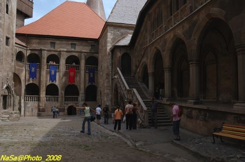 DSC_6779.jpg