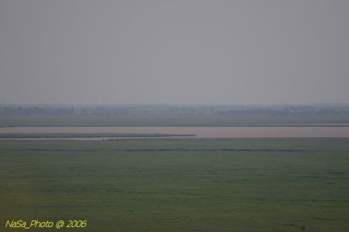 DSC_8224.jpg