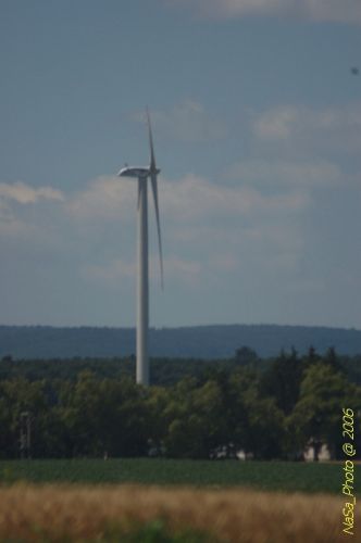DSC_8249.jpg