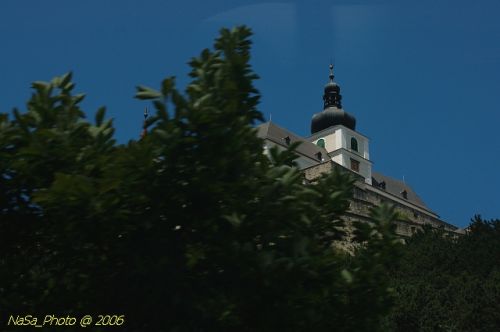 DSC_8254.jpg