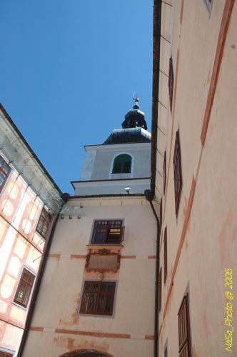 DSC_8261.jpg