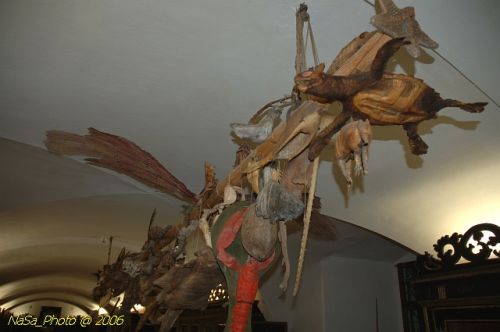 DSC_8271.jpg