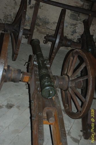 DSC_8274.jpg