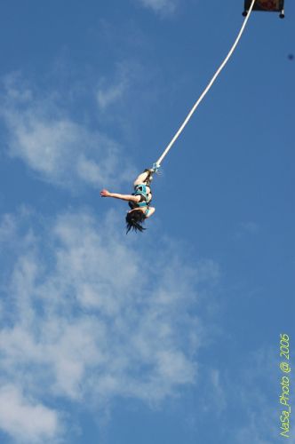 DSC_8327.jpg
