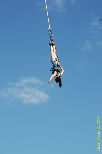 DSC_8329.jpg